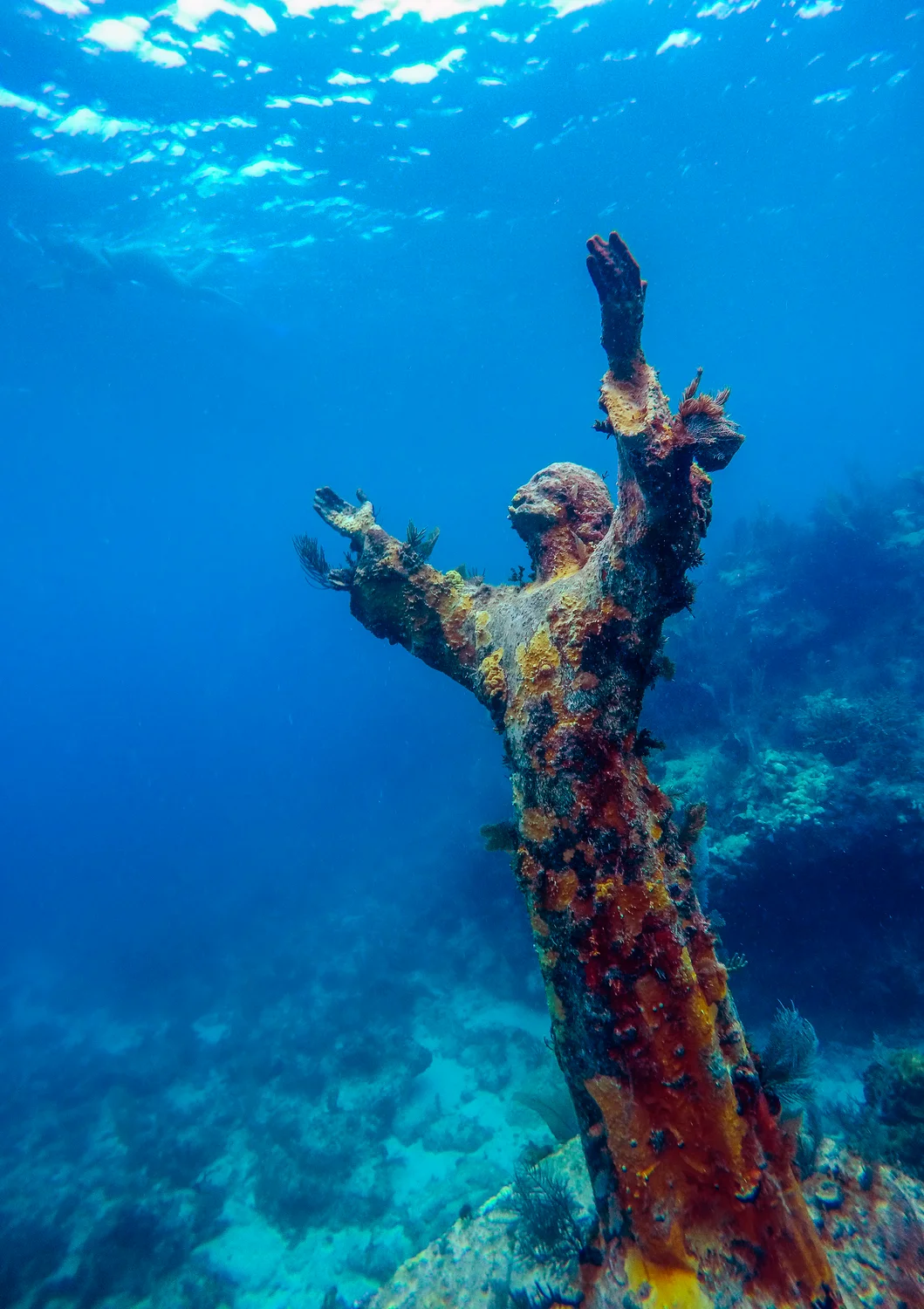 Christ of the Abyss Statue Snorkeling and Diving Tours