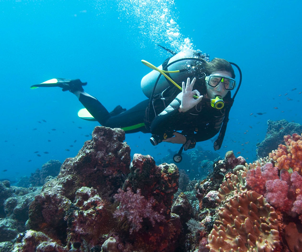 Key Largo: The Perfect Location for Scuba Certification