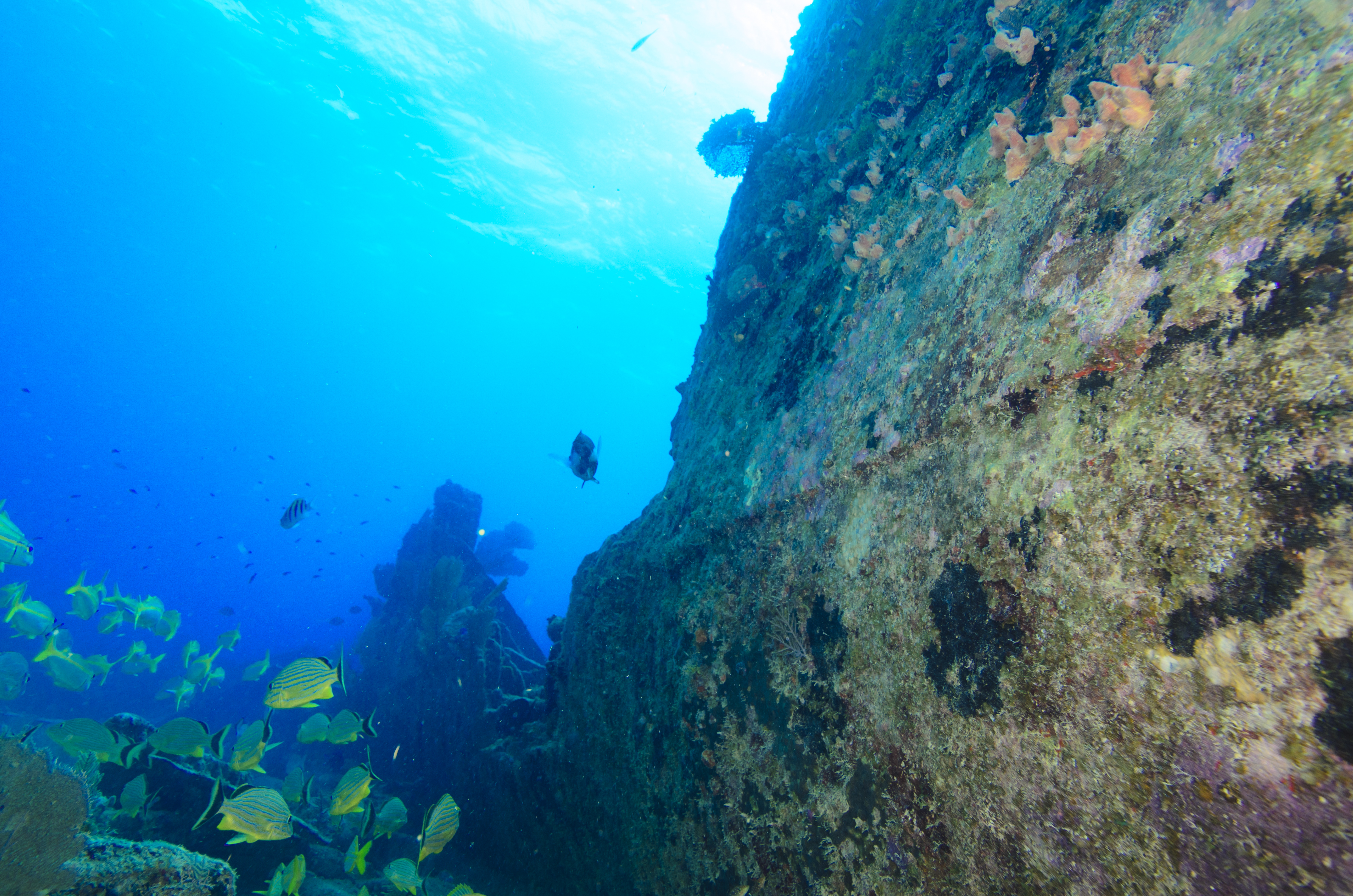 Large wreck dive scene