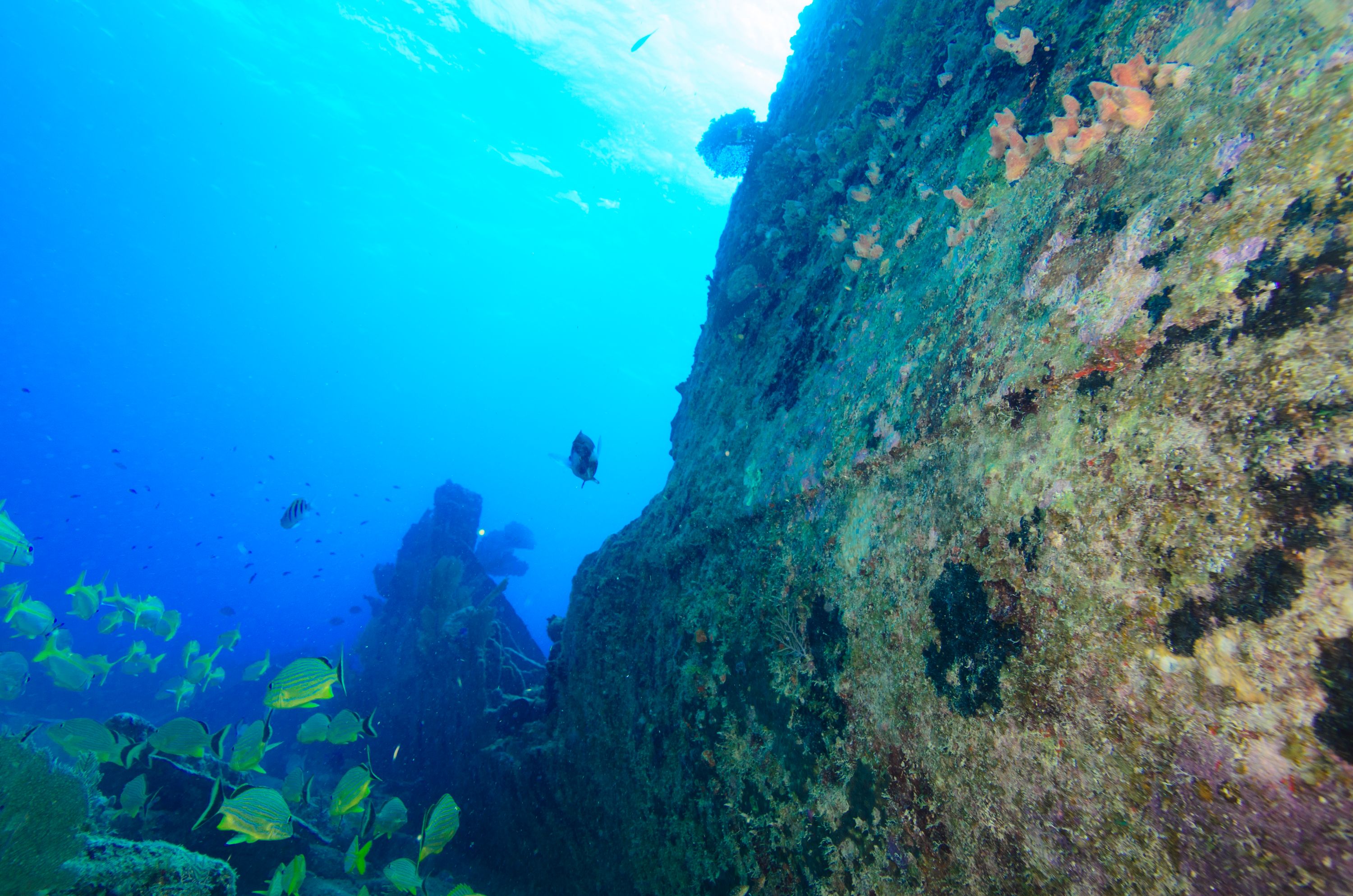 Large wreck dive scene