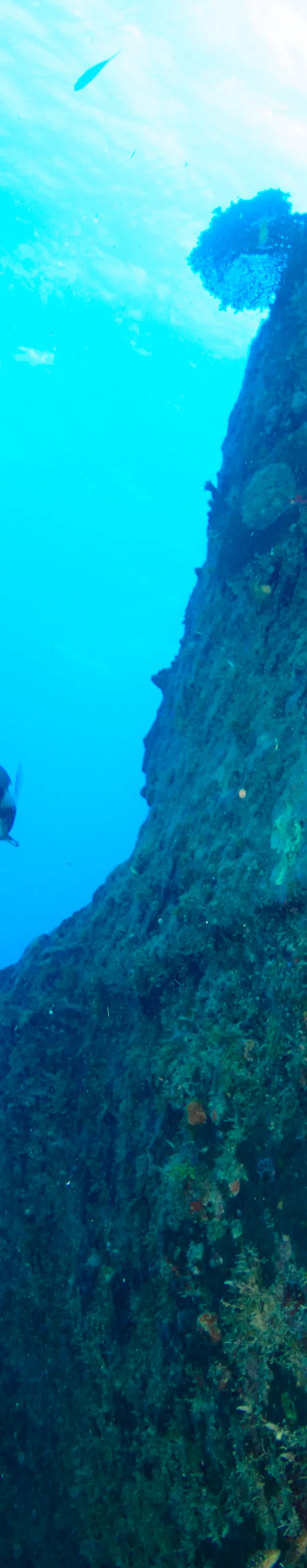Large wreck dive scene