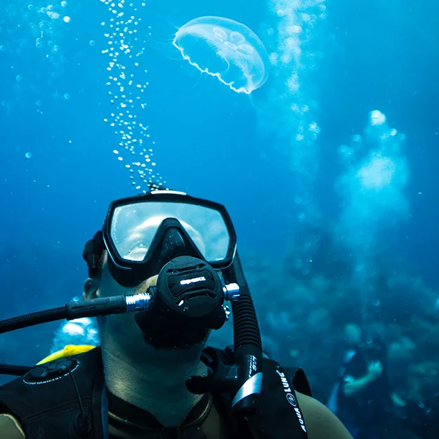 Ocean dives in the Florida Keys National Marine Sanctuary