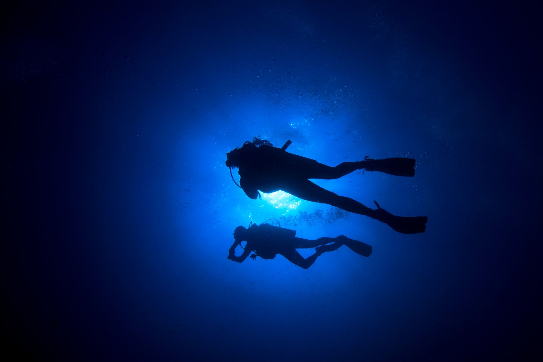 Night diver with a torch on the Key Largo reef tract