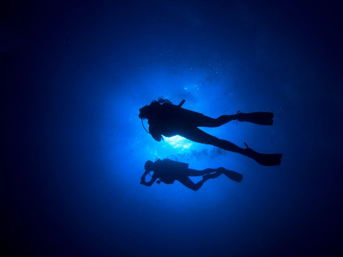 Night diver with a torch on the Key Largo reef tract