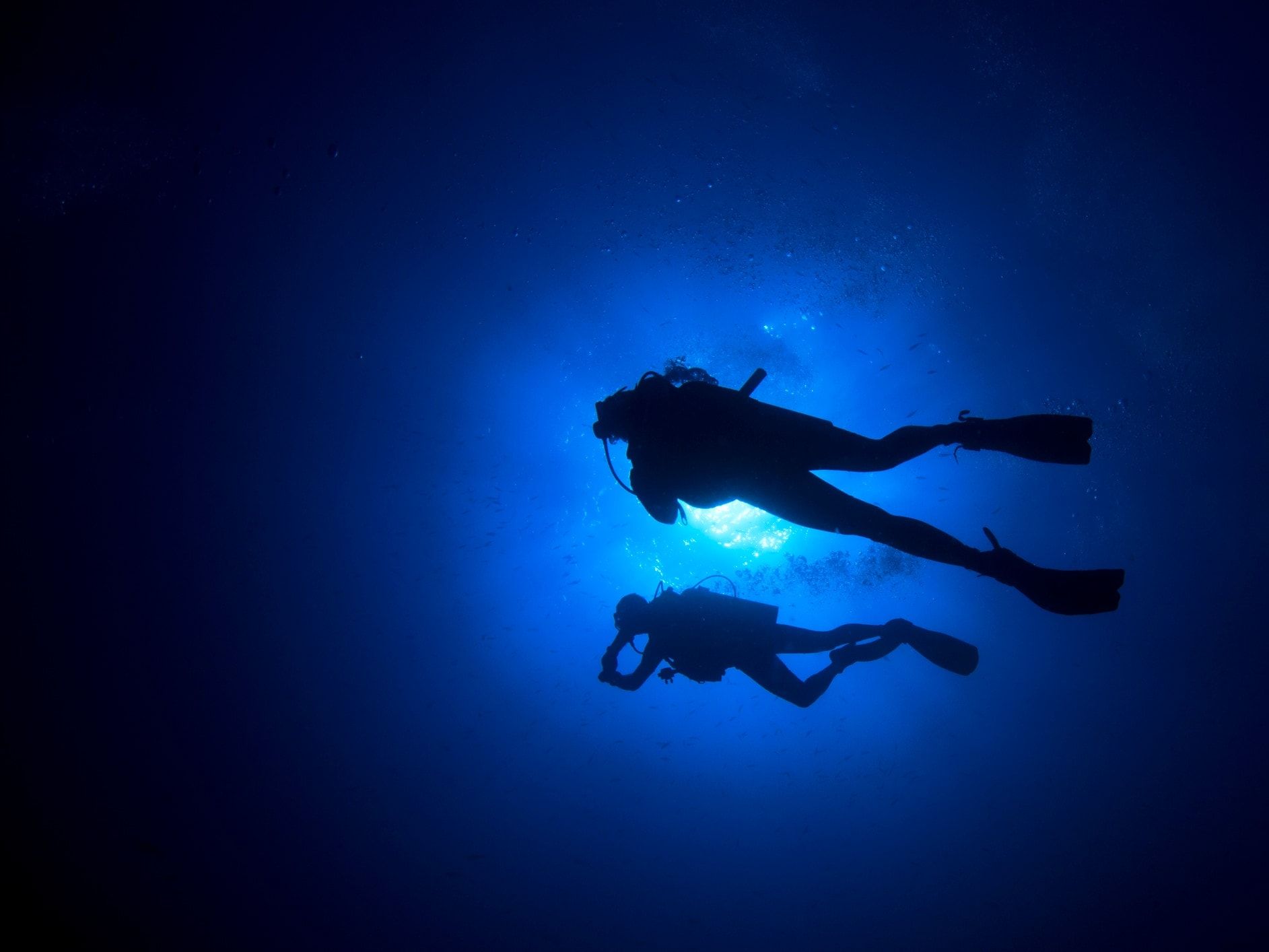 PADI Night Diver Specialty Course